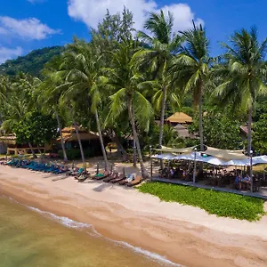 Palm Leaf Tailandia